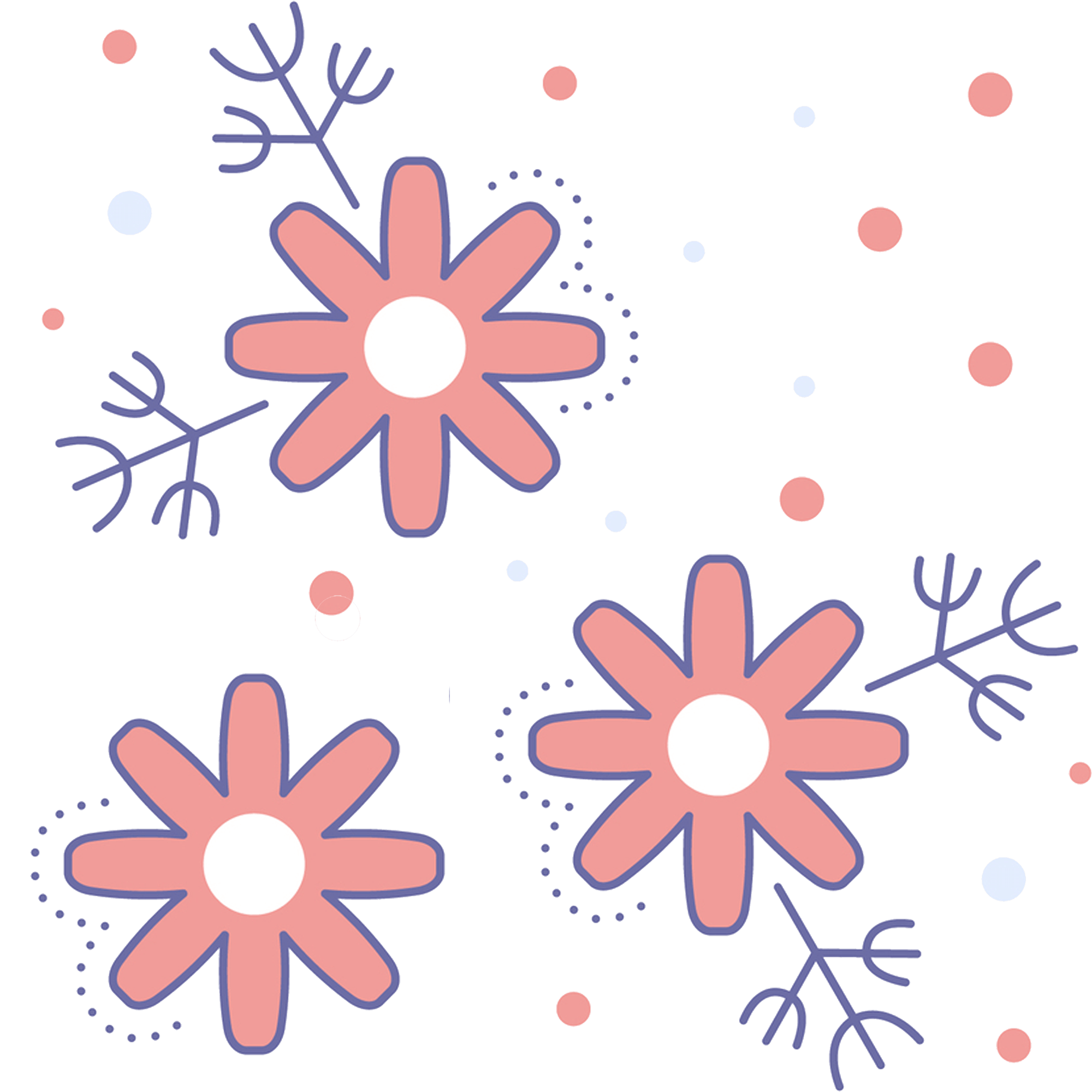 ブルームプラン